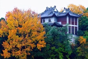 未分類圖片，第 4 張 (共 54 張)，按鈕