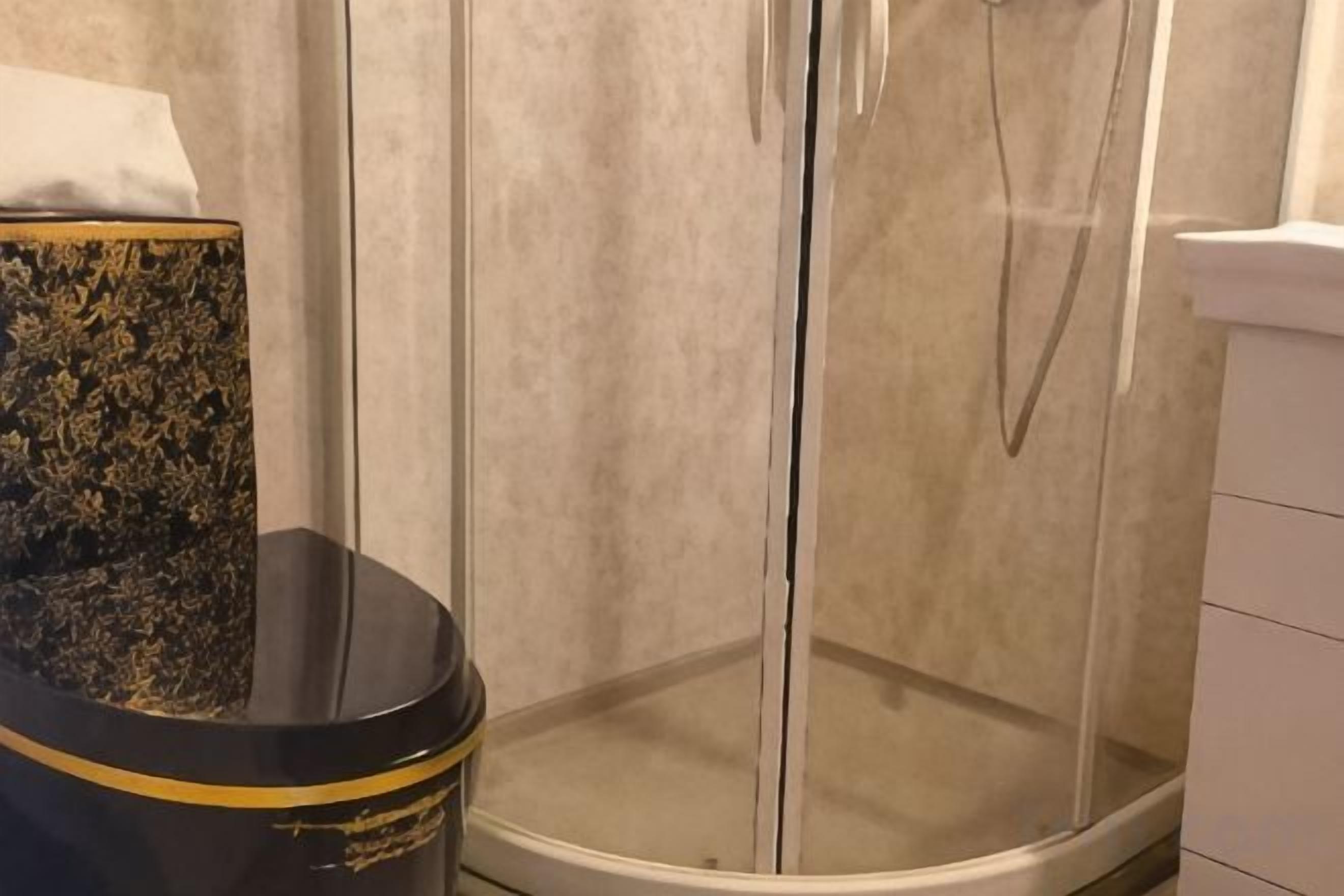 Un coin de salle de bain avec une douche en verre et des toilettes noires ornées de détails dorés.
