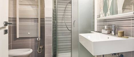 Shower, hair dryer, bidet, towels