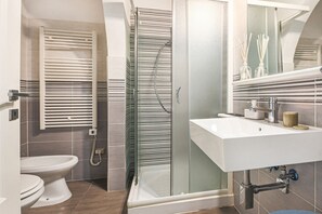 Shower, hair dryer, bidet, towels
