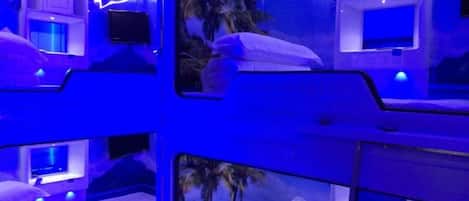 Une chambre avec des lits superposés, une télévision et une fenêtre donnant sur des palmiers.