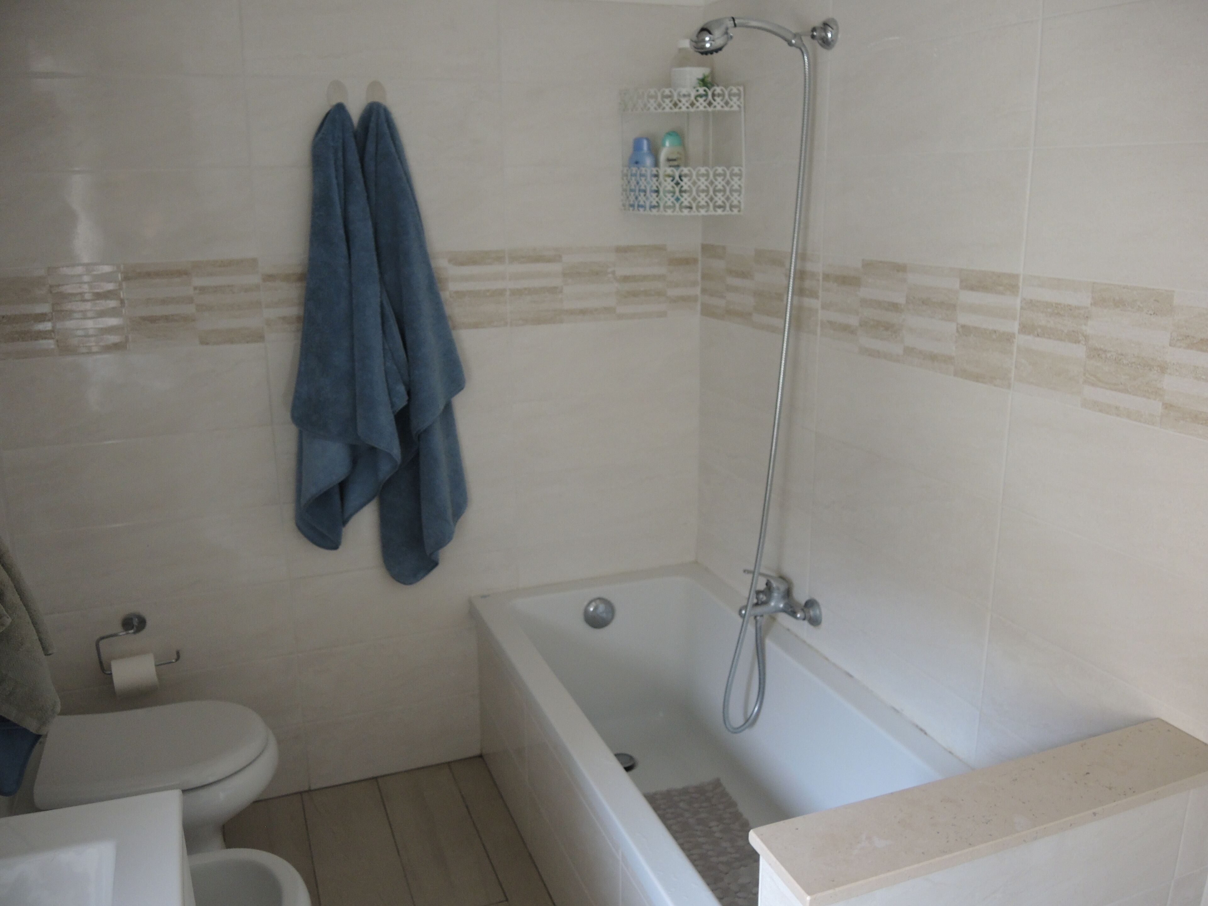 Hair dryer, bidet, towels, soap