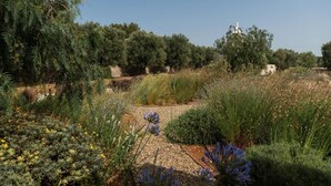 A garden with various plants and a stone pathway. - Villa Cinera - Luxury Villa with private pool (Ostuni)