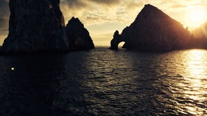 Divers