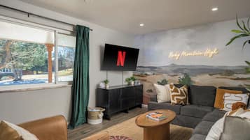 TV, fireplace, books