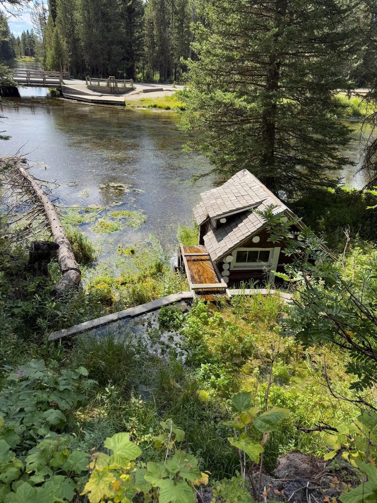 A cabin by a river surrounded by dense forest.