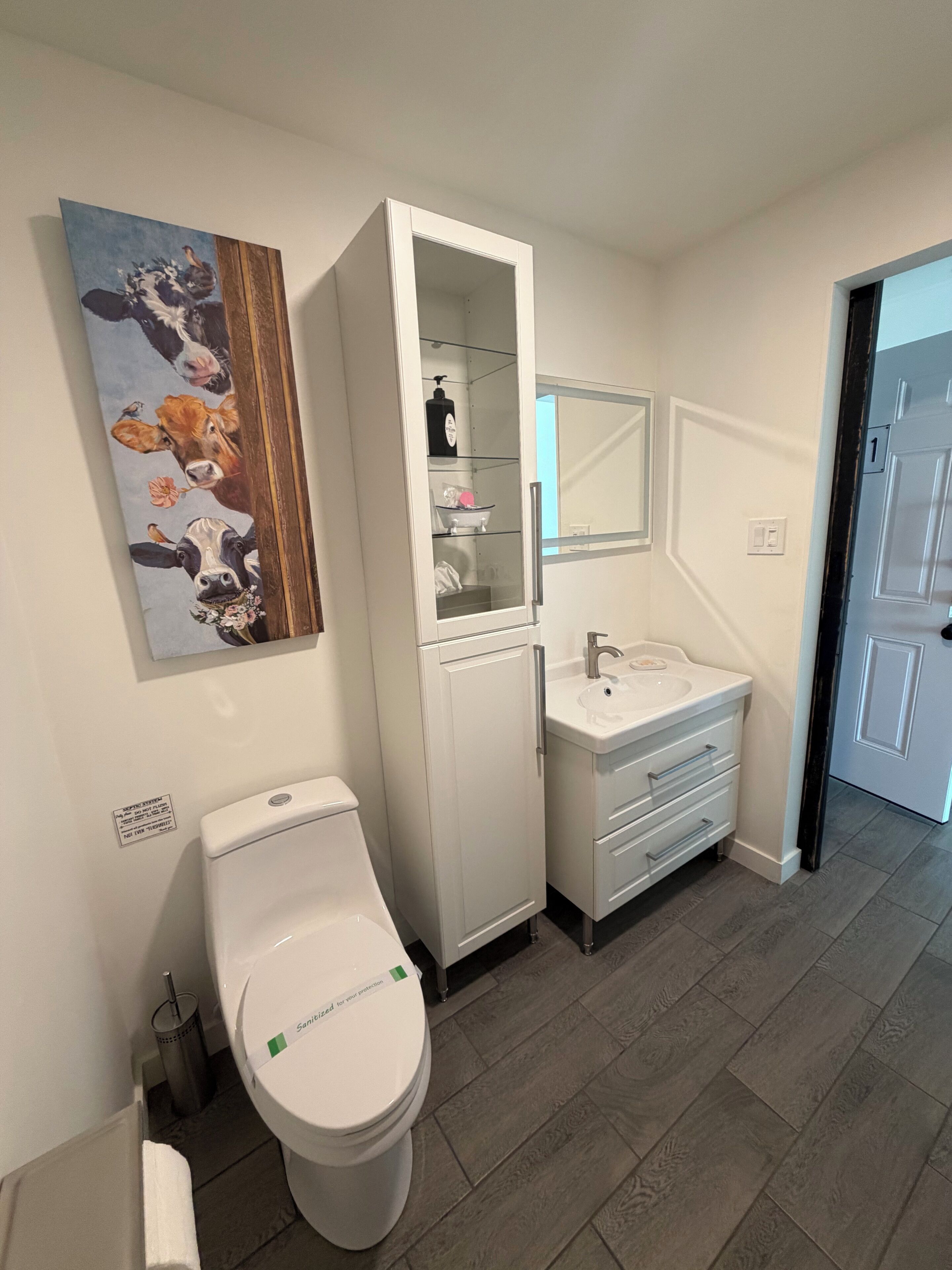 A bathroom with a toilet, a cabinet, a sink, and a mirror.