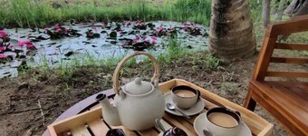 Harmony Haven Eco Resort Udawalawe