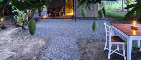 A dining area with a table and chairs under a tree with hanging fruits.