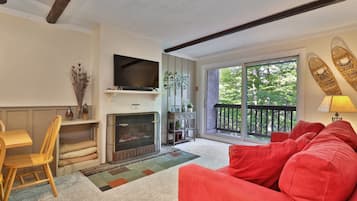 TV, fireplace, video library