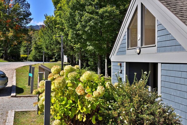 Property grounds - Cozy 3-Bedroom Whiffletree Condo in Killington, VT with Ski-In/Shuttle Access. Ski rental deals. (Killington)