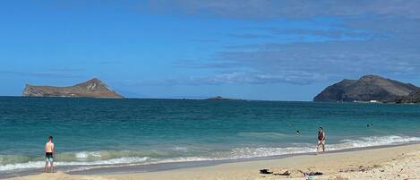 Camastros y toallas de playa