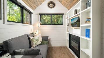 TV connectée, cheminée, livres