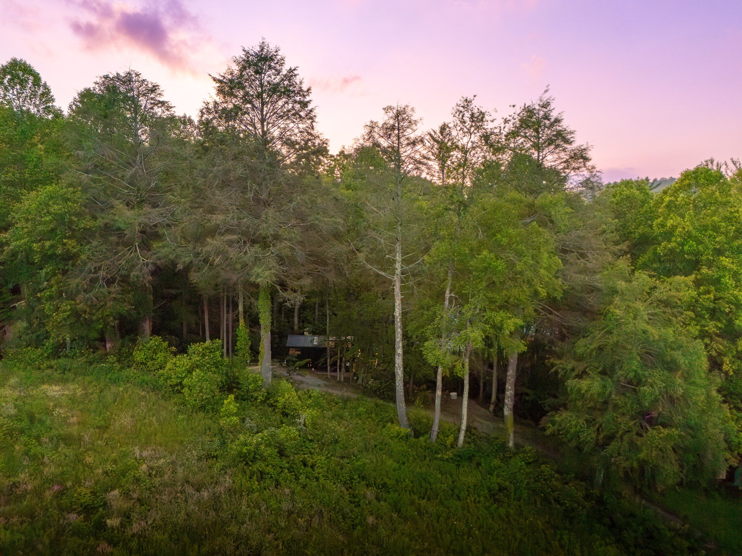 A forested area with a small building surrounded by trees.
