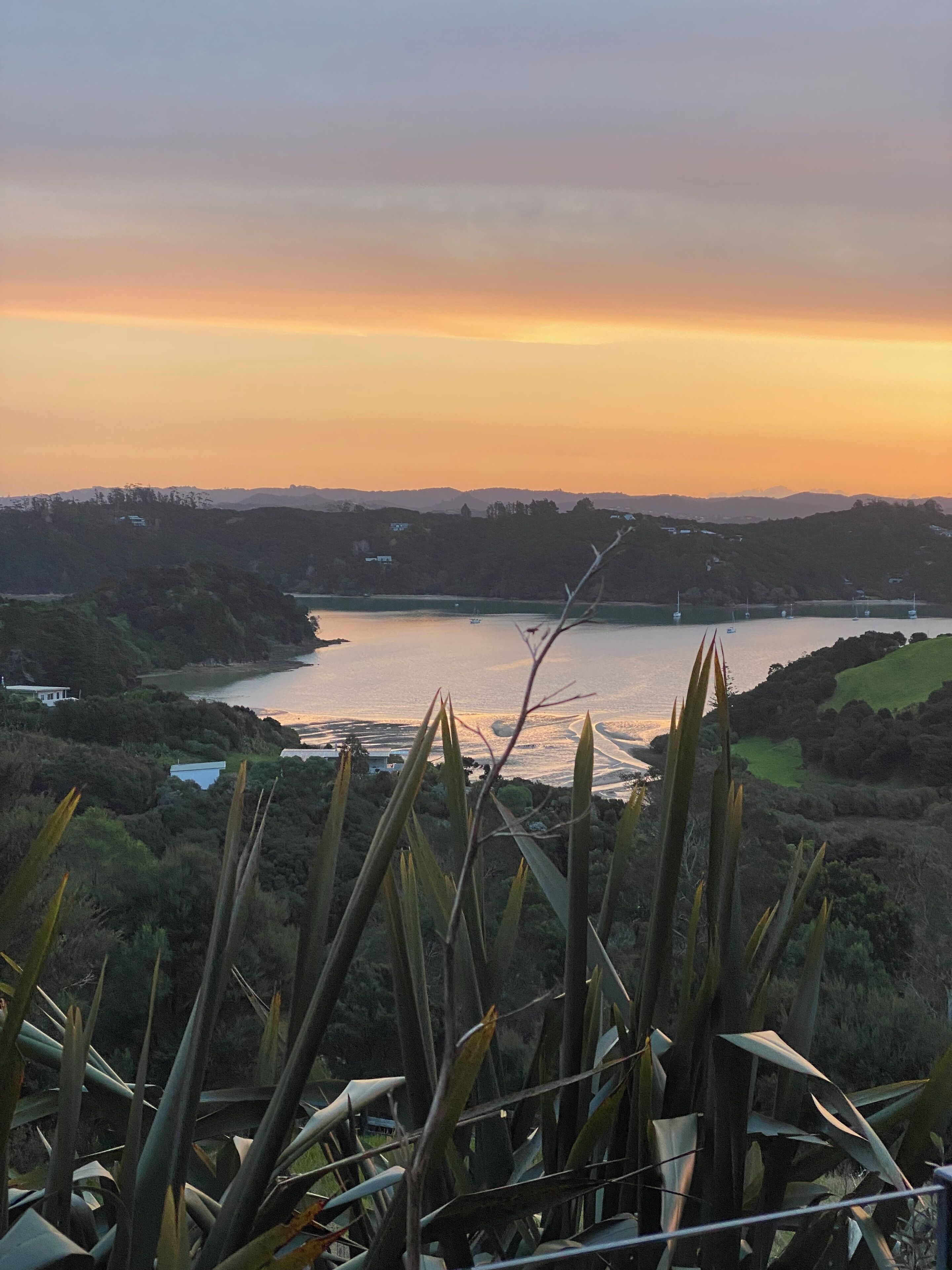 A coastal landscape with a view of the sea, hills, and vegetation.