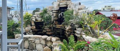 A rock garden with a waterfall feature, surrounded by various plants and rocks.