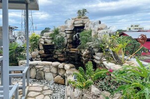 Jardín rocoso con cascada, rodeado de diversas plantas y rocas.