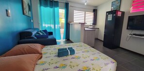 1 chambre, fer et planche à repasser, Wi-Fi gratuit