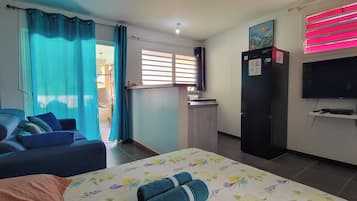 A bedroom with a bed, a sofa, a desk, a television, and a wardrobe.