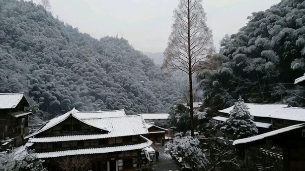 Un poble japonès tradicional amb edificis de fusta i arbres coberts de neu.