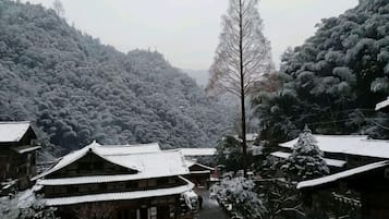 A traditional Japanese village with wooden buildings and snow-covered trees.