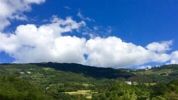 Altres