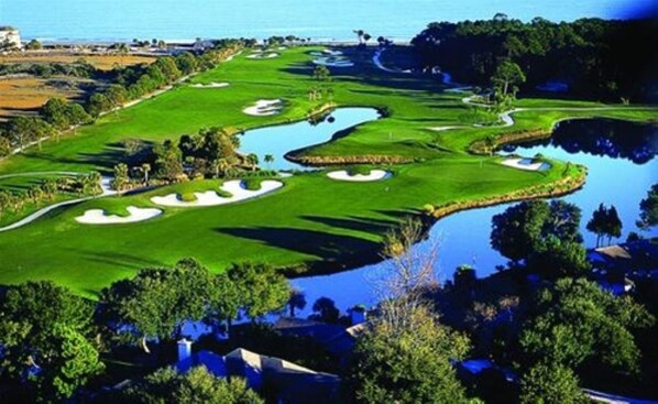 Golf - Cozy 2-bedroom condo in wonderful Calabash with WiFi, AC, with fireplace. (Calabash)