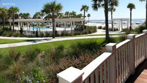 A beach club with a pool, palm trees, and a view of the beach.