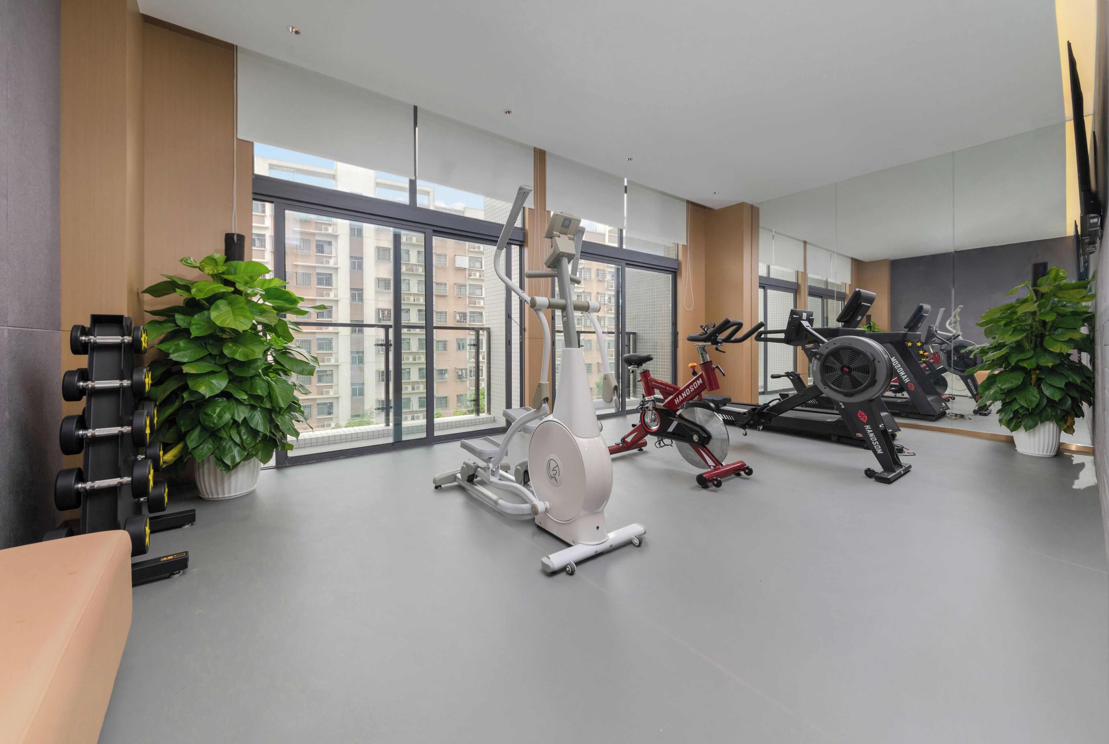 Gimnasio