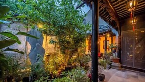 Unclassified image, 5 of 135, button - Suzhou Tongli Qingmei Zhuma Sanqiao Inn (Suzhou)