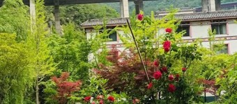 Asbestos Liziping Resort