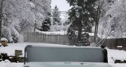 FiNLANDIA 3,000 sf 4B 3ba HotTub right in Town!