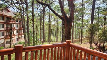 Deluxe Studio Suite, Park View | Terrace/patio