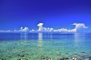 Experience the serene beauty of the coastline with breathtaking views of the ocean and its underwater world.