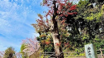住宿场地