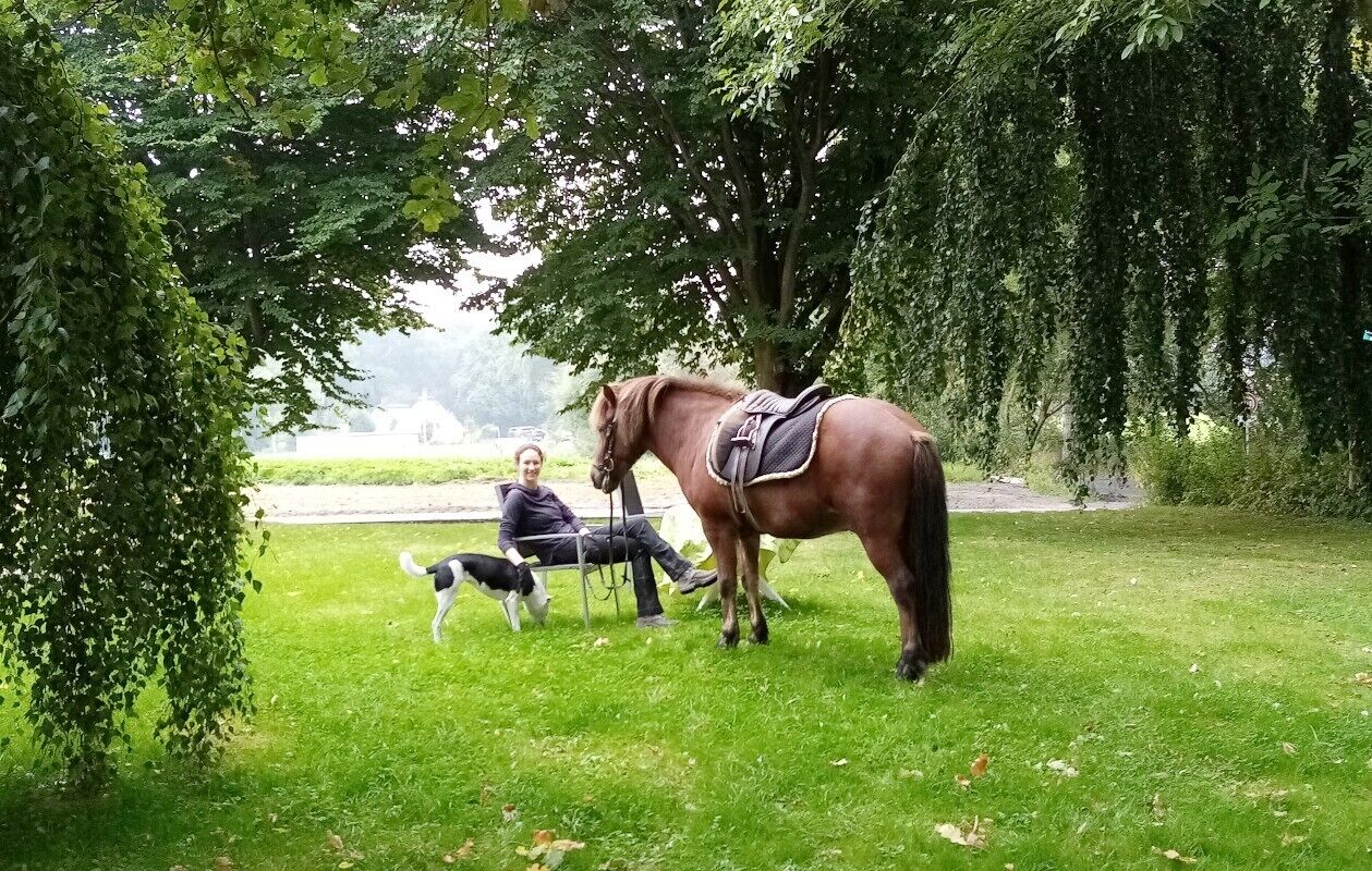 A grassy area with a horse and a dog.