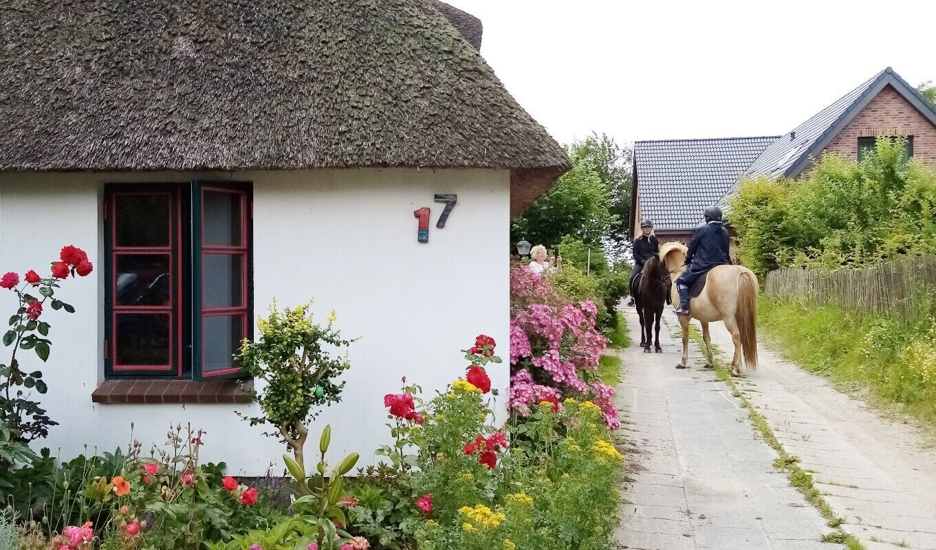 A thatched-roof cottage with a number 17 sign, a paved path, and horses.