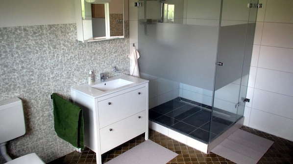 Shower, hair dryer, towels