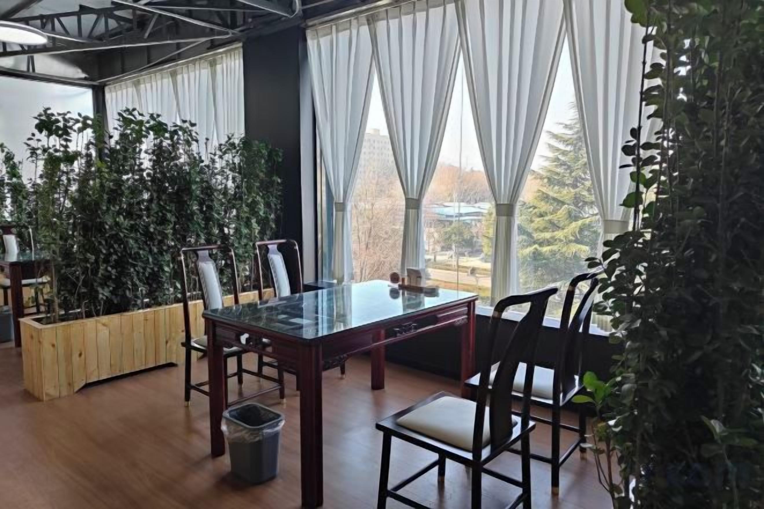 A dining area with a glass table, chairs, and potted plants.
