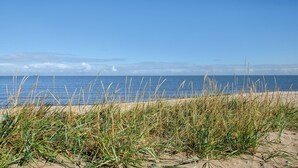 Una playa con arena y pasto en primer plano y un cielo azul despejado.