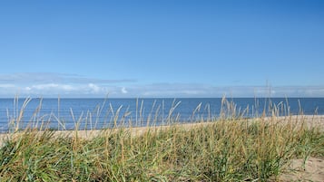 Playa en los alrededores