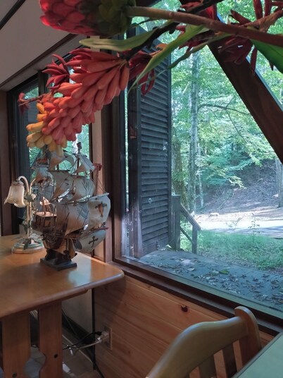 Lakeside Yamanakako 100m2 or more Private house fo / Minamitsurugun Yamanashi