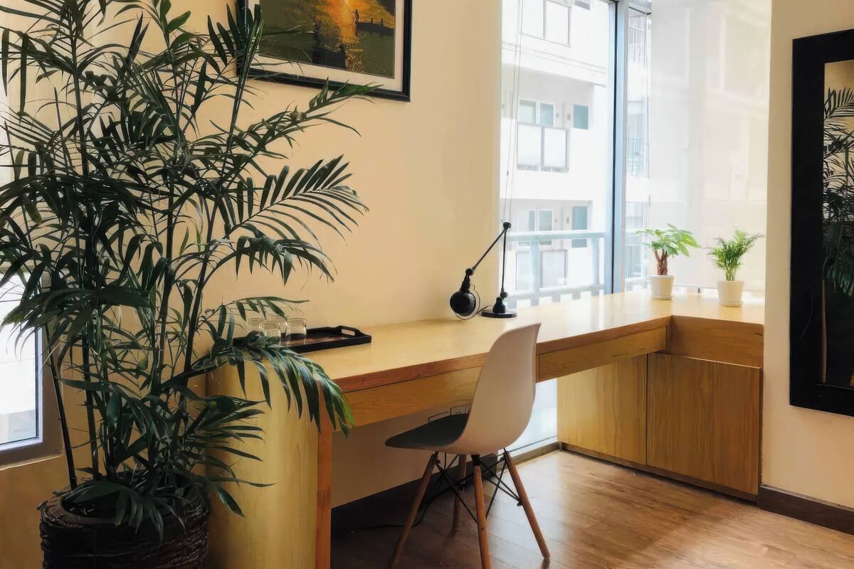 A modern workspace with a wooden desk, a white chair, a large potted plant, a desk lamp, and a window with a view of buildings.