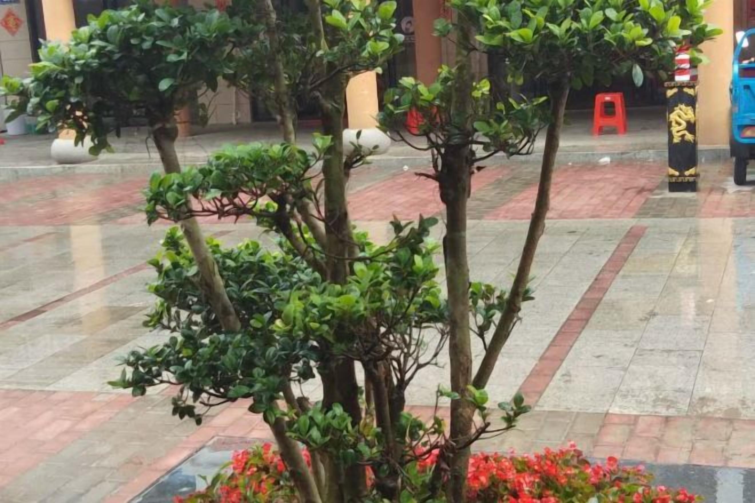 A courtyard with potted plants and a red chair.