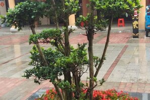 A courtyard with potted plants and a red chair.
