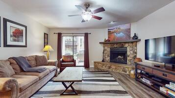 TV, fireplace, video games, DVD player