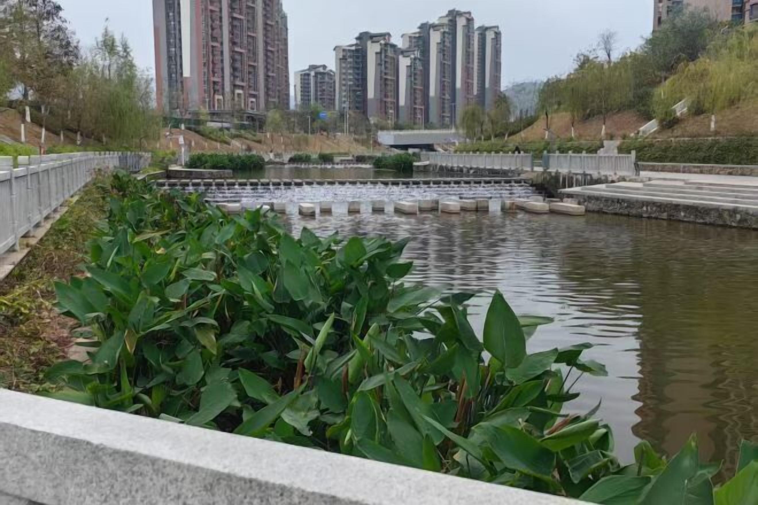 A riverside walkway with a concrete barrier, lush green plants, and a calm water body.