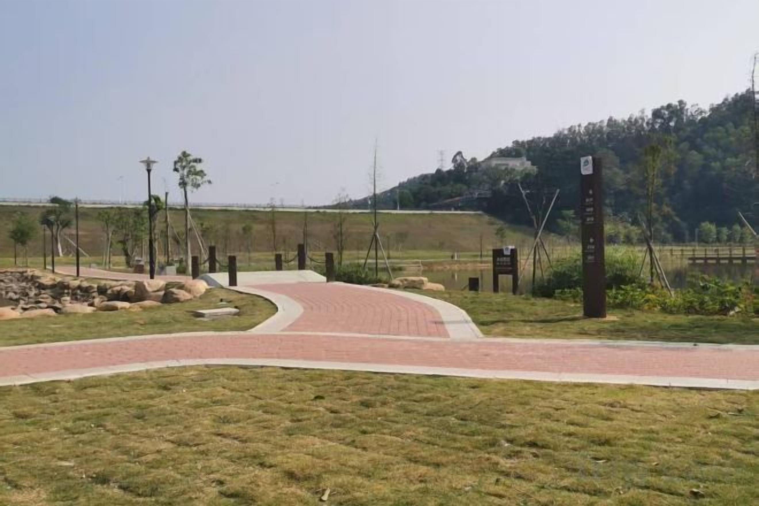 A paved pathway leading to a building entrance with a grassy area and trees.