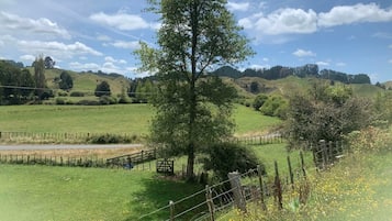 Terrain de l’hébergement 
