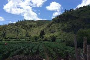 Ảnh chưa phân loại, 3 trong số 23 ảnh, nút